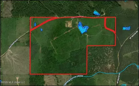 Chathaw Path, Smithdale, MS 39664 photo 37
