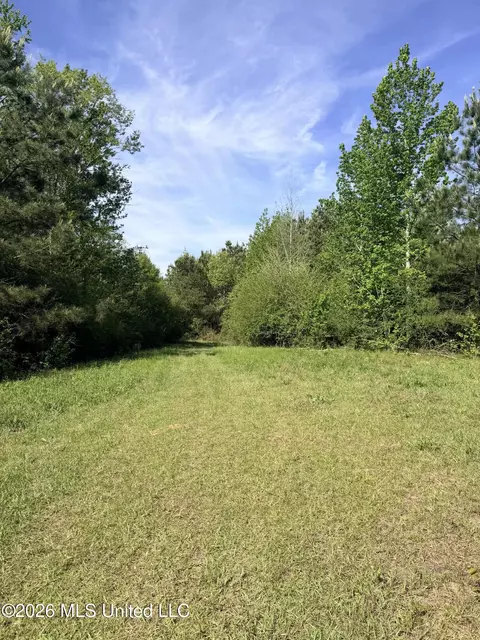 Chathaw Path, Smithdale, MS 39664 photo 30