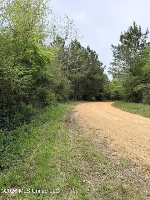 Chathaw Path, Smithdale, MS 39664 photo 5