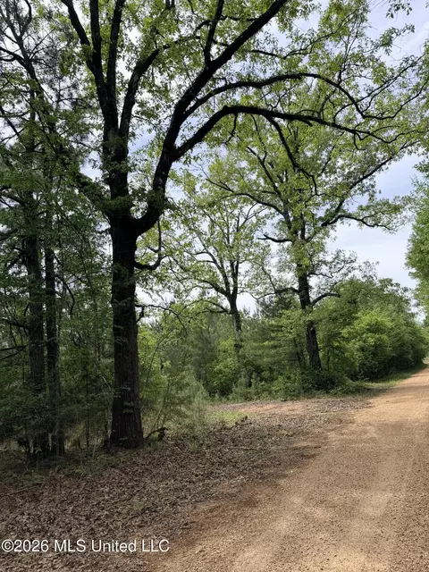 Chathaw Path, Smithdale, MS 39664 photo 12