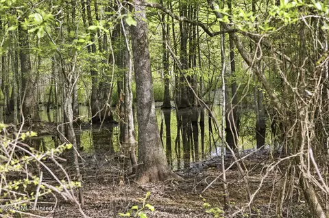 Chathaw Path, Smithdale, MS 39664 photo 42