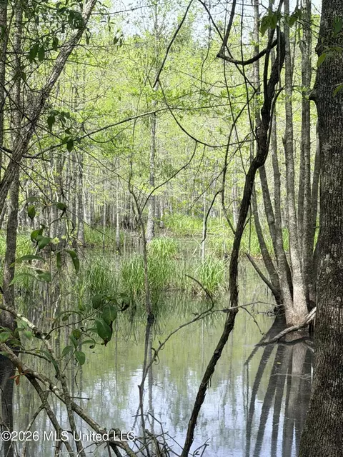 Chathaw Path, Smithdale, MS 39664 photo 6