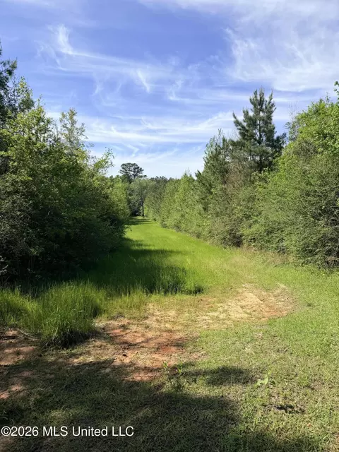 Chathaw Path, Smithdale, MS 39664 photo 34