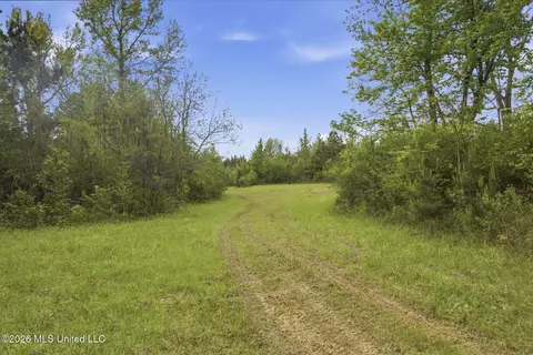 Chathaw Path, Smithdale, MS 39664 photo 36
