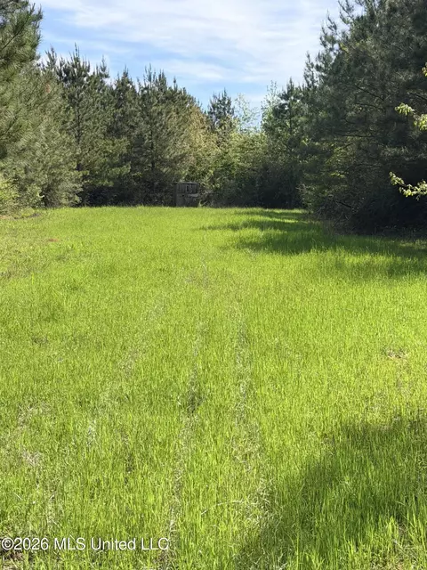 Chathaw Path, Smithdale, MS 39664 photo 26