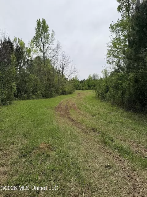 Chathaw Path, Smithdale, MS 39664 photo 4