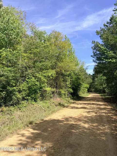 Chathaw Path, Smithdale, MS 39664 photo 36