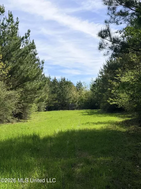 Chathaw Path, Smithdale, MS 39664 photo 25