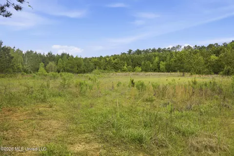 Chathaw Path, Smithdale, MS 39664 photo 39