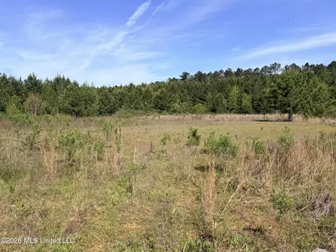 Chathaw Path, Smithdale, MS 39664 photo 18
