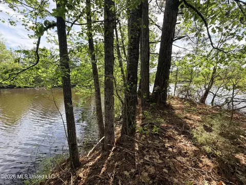 Chathaw Path, Smithdale, MS 39664 photo 22