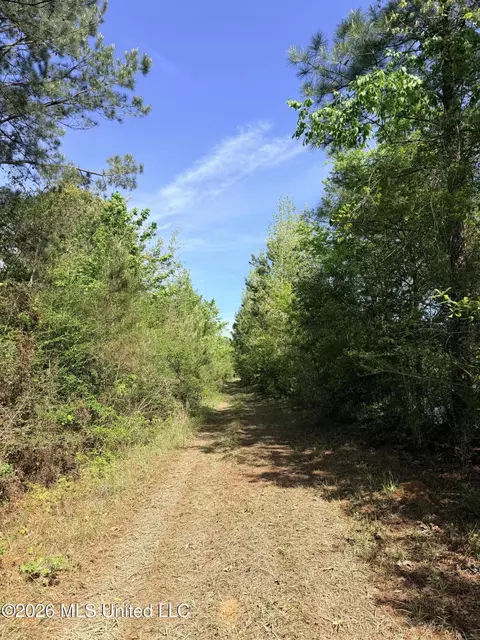 Chathaw Path, Smithdale, MS 39664 photo 31