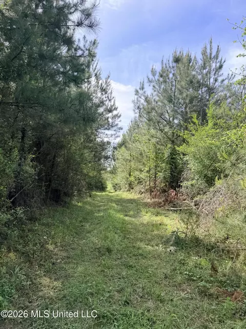 Chathaw Path, Smithdale, MS 39664 photo 14