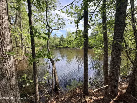 Chathaw Path, Smithdale, MS 39664 photo 23