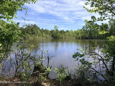 Chathaw Path, Smithdale, MS 39664 photo 32