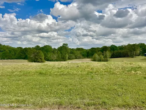 000001 Meadow Oak Ln, Clinton, MS 39056