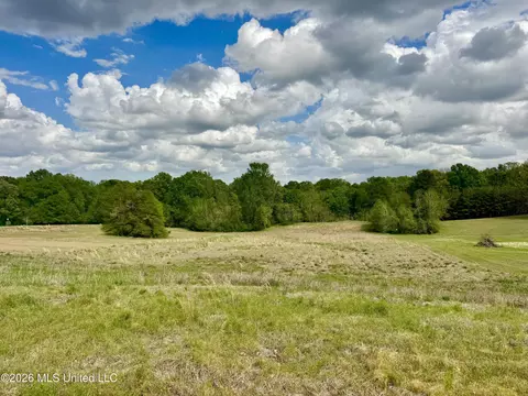 000001 Meadow Oak Ln, Clinton, MS 39056