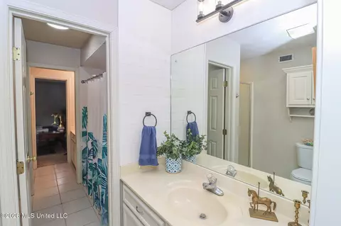 Bath - 357 E Cascades Cir, Clinton, MS 39056 photo 7 of 7