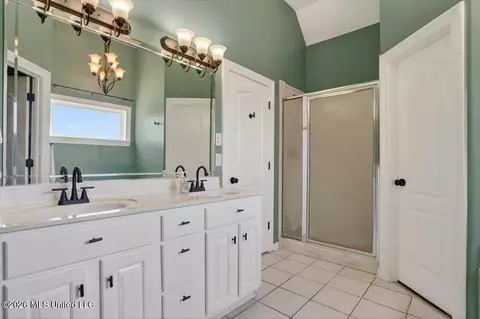 Bath - 1203 Lake View Dr, Hernando, MS 38632 photo 2 of 4