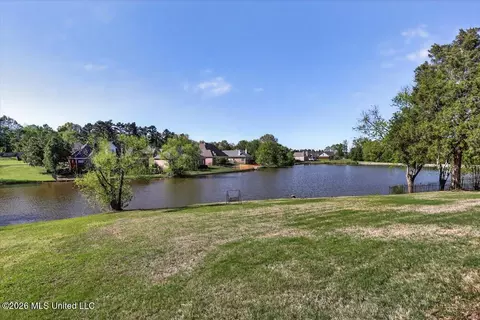 View/Area - 1203 Lake View Dr, Hernando, MS 38632 photo 1 of 2