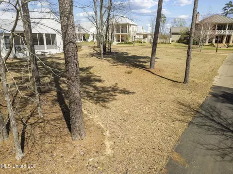 137 W Florida Blvd, Madison, MS 39110 photo 5