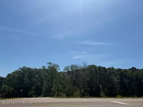 Hwy 471, Brandon, MS 39042 photo 4