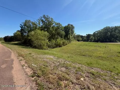 Hwy 471, Brandon, MS 39042 photo 8