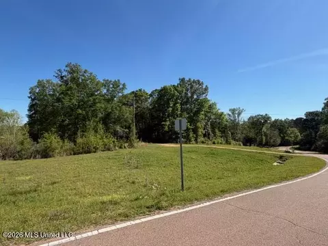 Hwy 471, Brandon, MS 39042 photo 5