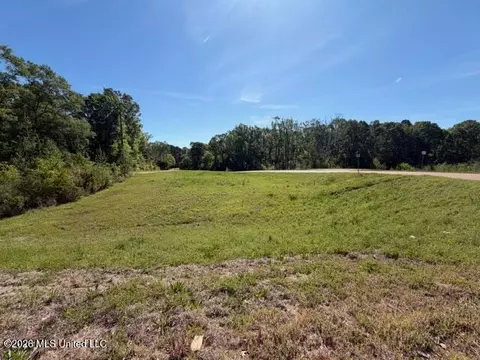Hwy 471, Brandon, MS 39042 photo 10