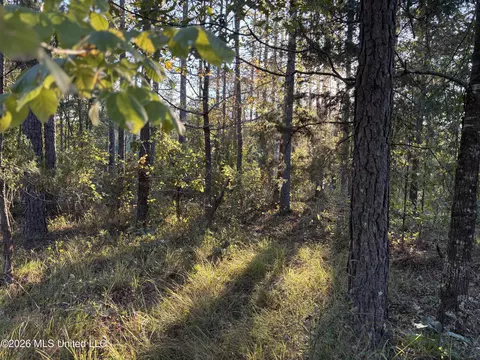 001 Simpson Rd, Pickens, MS 39146 photo 5