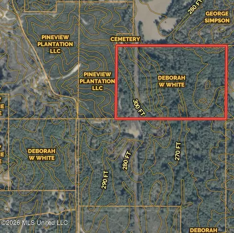 001 Simpson Rd, Pickens, MS 39146 photo 17