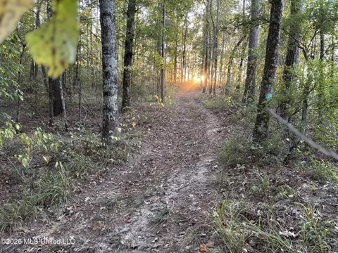 001 Simpson Rd, Pickens, MS 39146