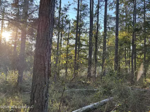 001 Simpson Rd, Pickens, MS 39146 photo 4