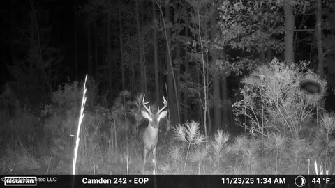 001 Simpson Rd, Pickens, MS 39146 photo 10
