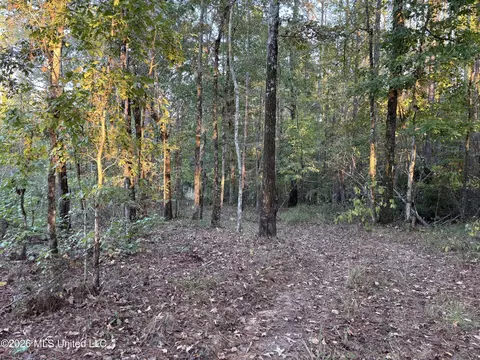 001 Simpson Rd, Pickens, MS 39146 photo 3