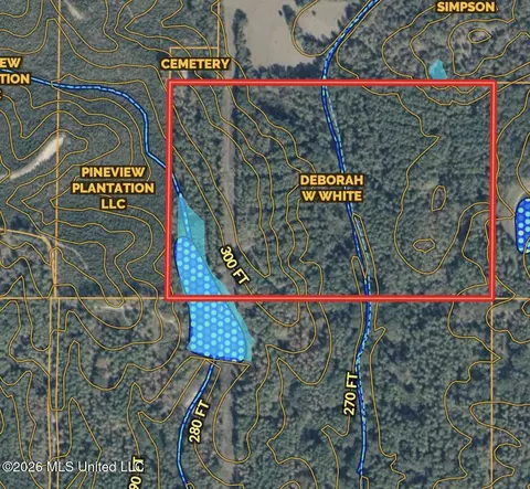 001 Simpson Rd, Pickens, MS 39146 photo 18