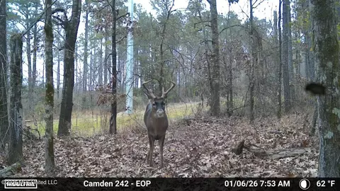 001 Simpson Rd, Pickens, MS 39146 photo 12