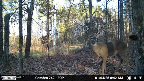 001 Simpson Rd, Pickens, MS 39146 photo 14