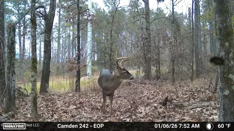 001 Simpson Rd, Pickens, MS 39146 photo 13