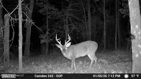 001 Simpson Rd, Pickens, MS 39146 photo 8