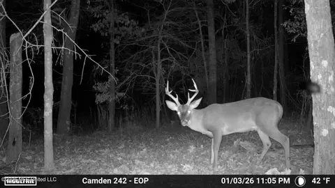 001 Simpson Rd, Pickens, MS 39146 photo 9