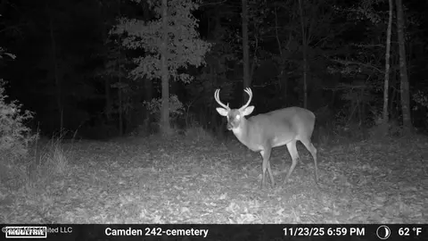 001 Simpson Rd, Pickens, MS 39146 photo 6