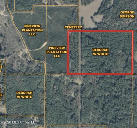 001 Simpson Rd, Pickens, MS 39146 photo 15