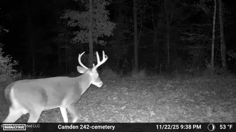 001 Simpson Rd, Pickens, MS 39146 photo 7