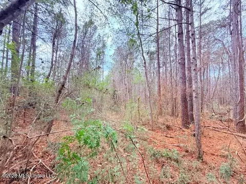 Busy Corner Road, Gloster, MS 39638 photo 12
