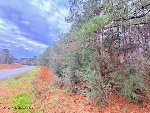 Busy Corner Road, Gloster, MS 39638 photo 3