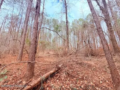 Busy Corner Road, Gloster, MS 39638 photo 19