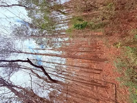 Busy Corner Road, Gloster, MS 39638 photo 13
