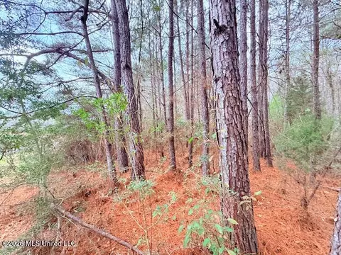 Busy Corner Road, Gloster, MS 39638 photo 6