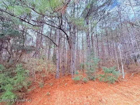 Busy Corner Road, Gloster, MS 39638 photo 4